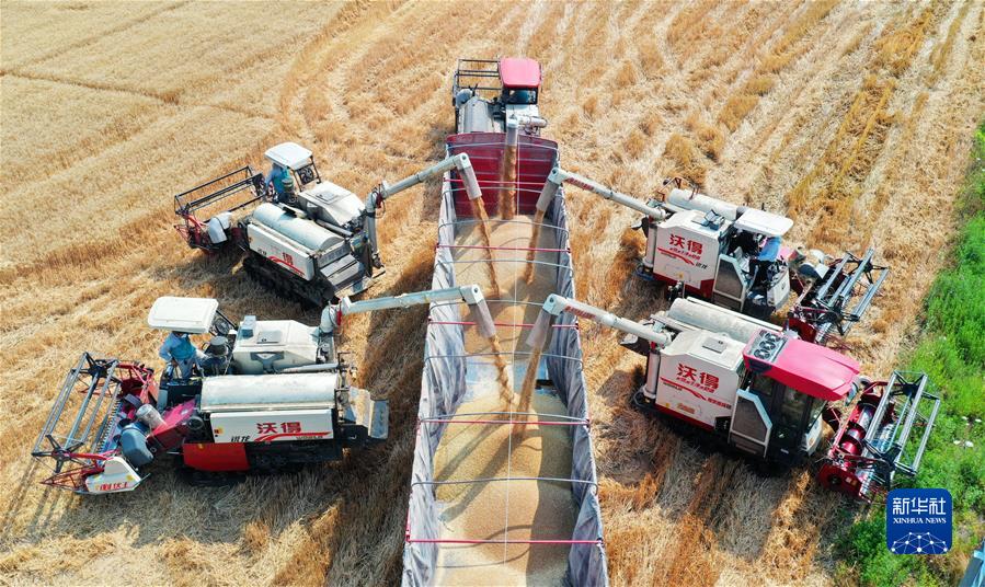 （新华全媒头条&middot;奋进新征程 建功新时代&middot;非凡十年&middot;图文互动）（3）安徽：科技进步添动力 创新发展谱新篇