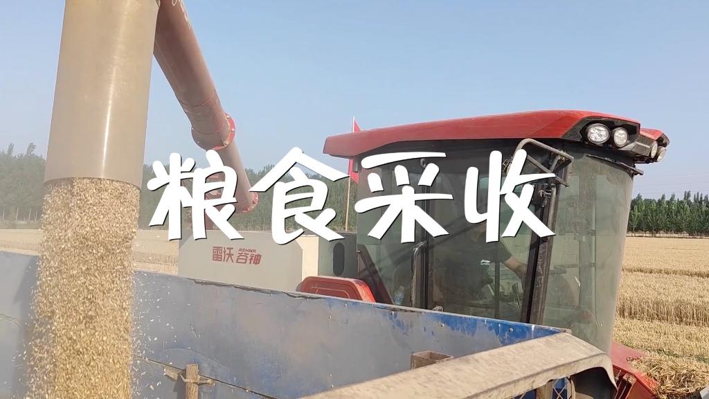 《军报每天读》2022050897国际游戏app-