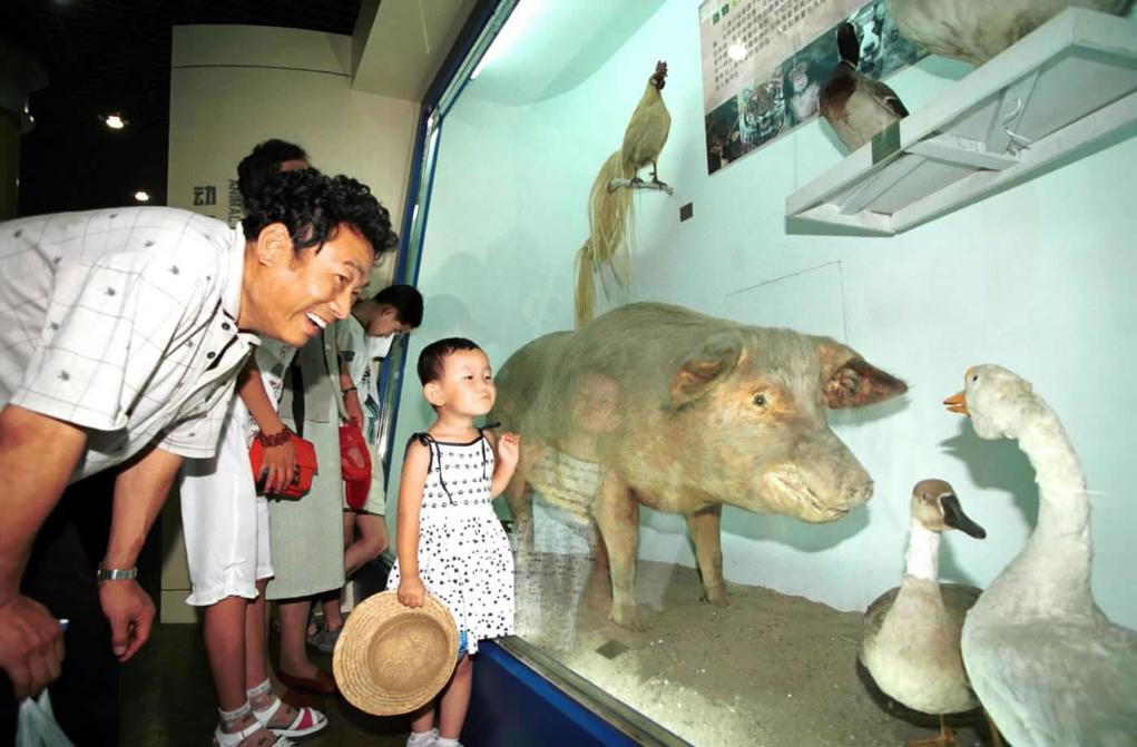 九游娱乐 - style c(图15) 九游娱乐 - style c(图15)