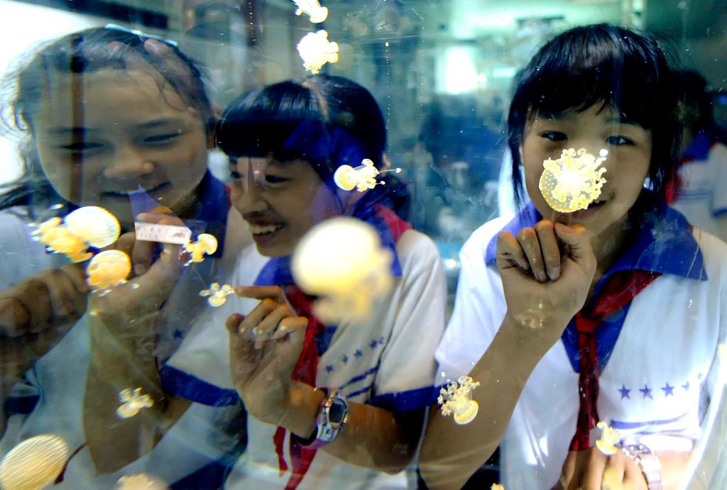 九游娱乐 - style c(图8) 九游娱乐 - style c(图8)