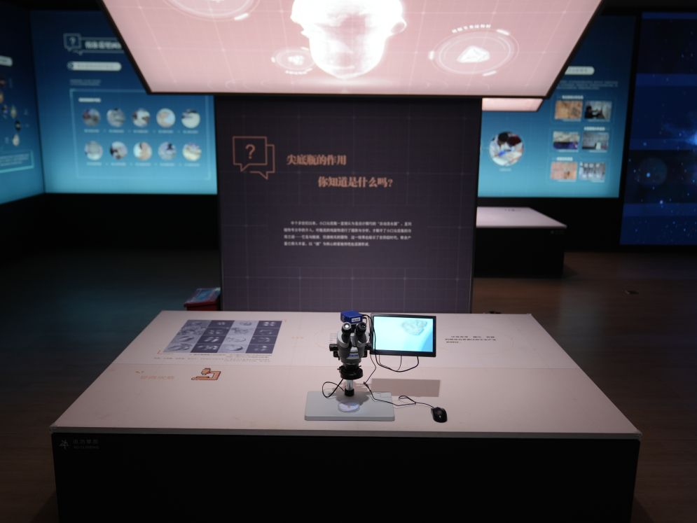 econtent(图3)