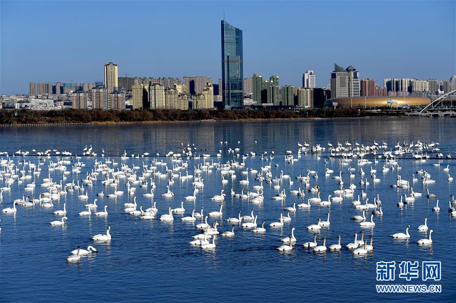 (新华全媒头条·图文互动)(14)中国道路越走越宽广——社会主义中国实践启示录