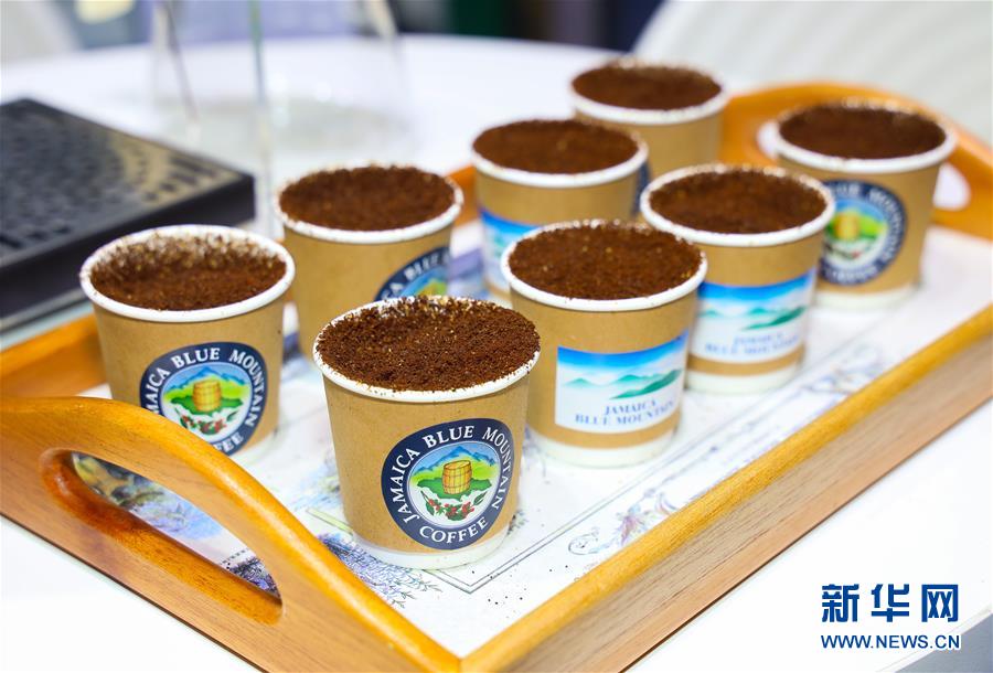 （新华全媒头条&middot;图文互动）（15）人间正道 浩荡前行&mdash;&mdash;习近平主席出席首届中国国际进口博览会纪实