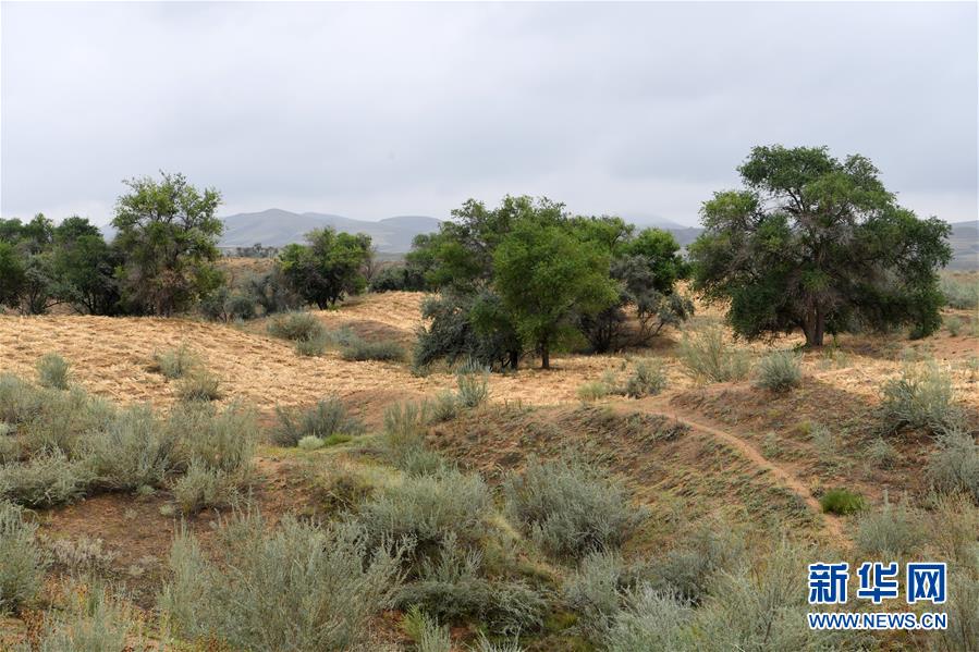 (新华全媒头条·图文互动)(2)为了美丽的绿水青山——习近平总书记考察生态文明建设回访