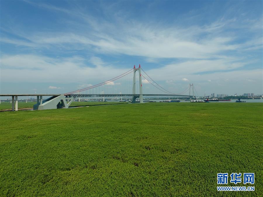 (新华全媒头条·图文互动)(7)为了美丽的绿水青山——习近平总书记考察生态文明建设回访