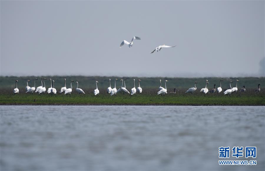 (新华全媒头条·图文互动)(8)为了美丽的绿水青山——习近平总书记考察生态文明建设回访