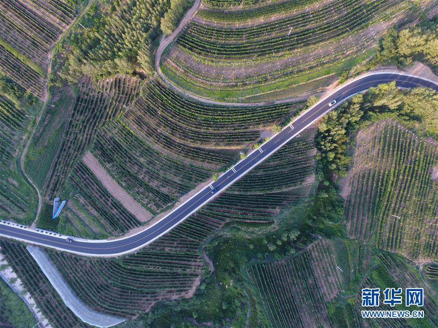 (新华全媒头条·图文互动)(9)为了美丽的绿水青山——习近平总书记考察生态文明建设回访