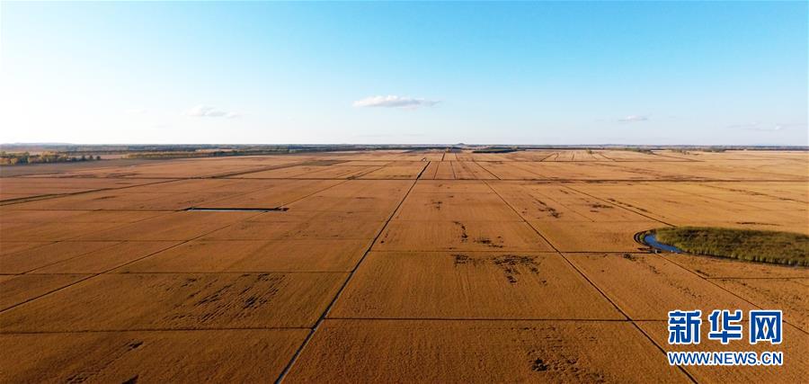 (新华全媒头条·图文互动)(11)为了美丽的绿水青山——习近平总书记考察生态文明建设回访