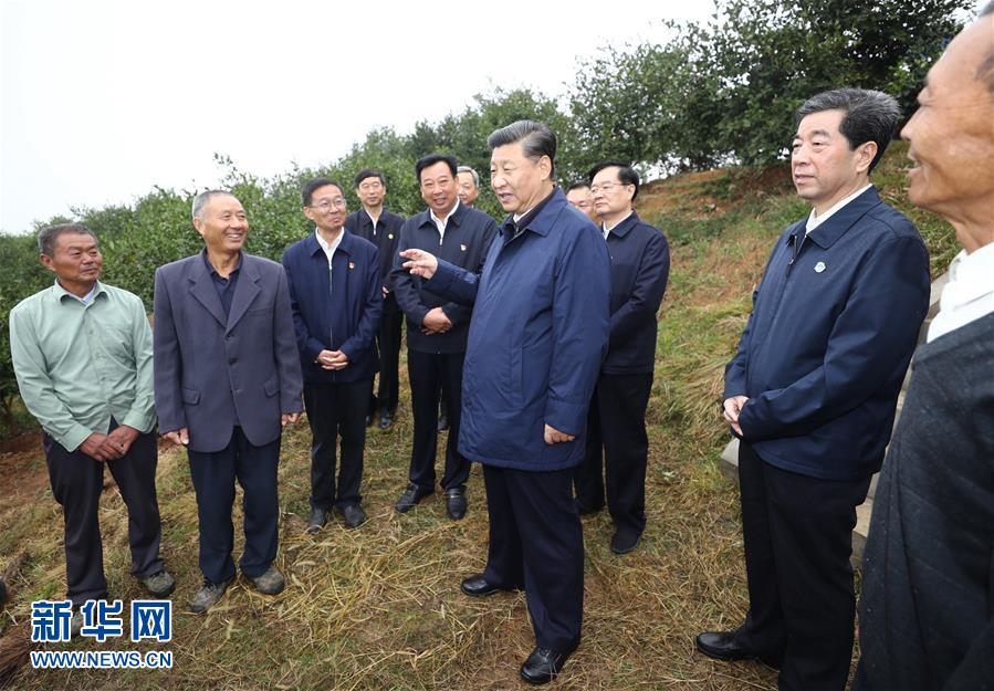 （XHDW）（3）习近平在光山县深入油茶园和农村考察调研