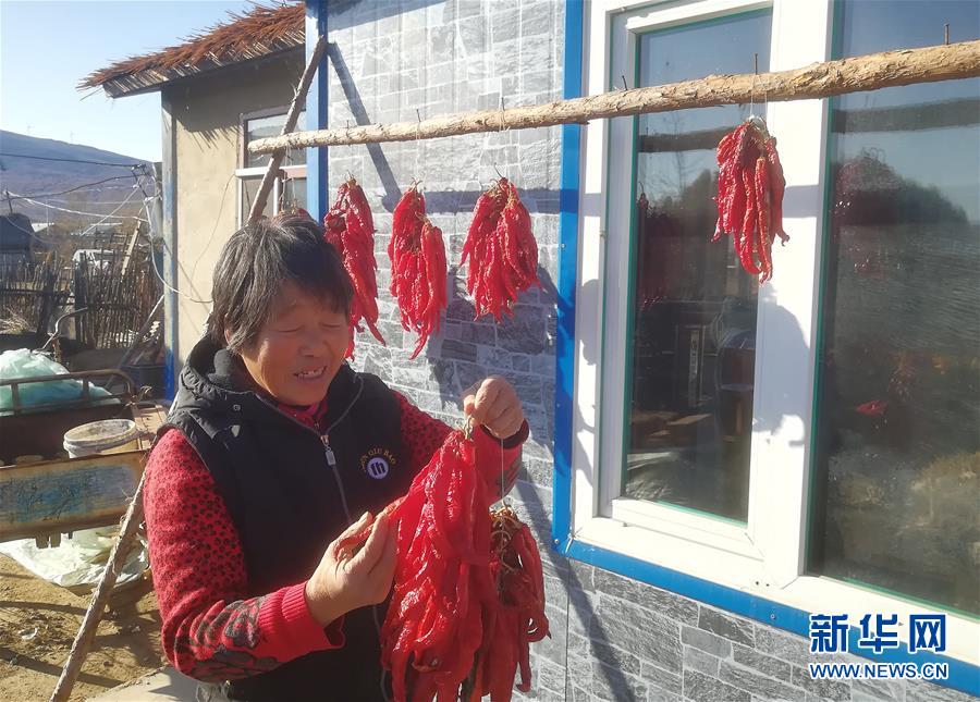 (在习近平新时代中国特色社会主义思想指引下——新时代新作为新篇章·总书记关心的百姓身边事·图文互动)(3)一个贫困山村的振兴新动能——小故事里的大情怀之五