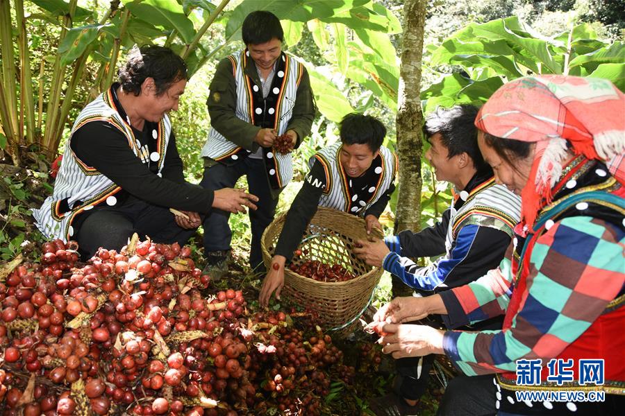 （在习近平新时代中国特色社会主义思想指引下&mdash;&mdash;新时代新作为新篇章&middot;总书记关切脱贫事&middot;决胜贫困&middot;图文互动）（4）让一方水土&ldquo;富养&rdquo;一方人&mdash;&mdash;扶贫特色产业惠及千家万户