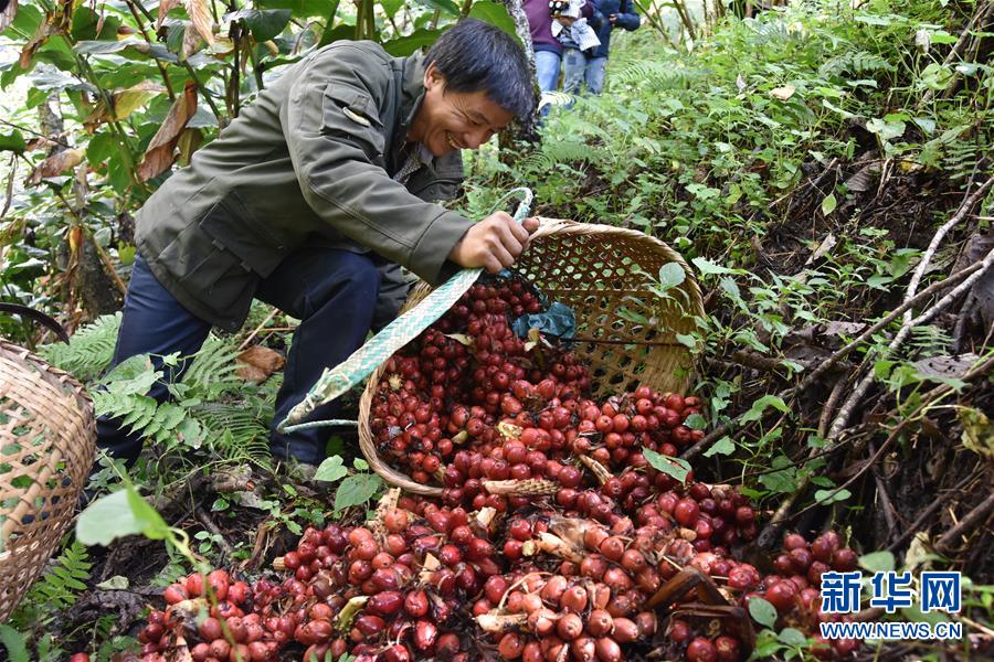 （在习近平新时代中国特色社会主义思想指引下&mdash;&mdash;新时代新作为新篇章&middot;总书记关切脱贫事&middot;决胜贫困&middot;图文互动）（5）让一方水土&ldquo;富养&rdquo;一方人&mdash;&mdash;扶贫特色产业惠及千家万户