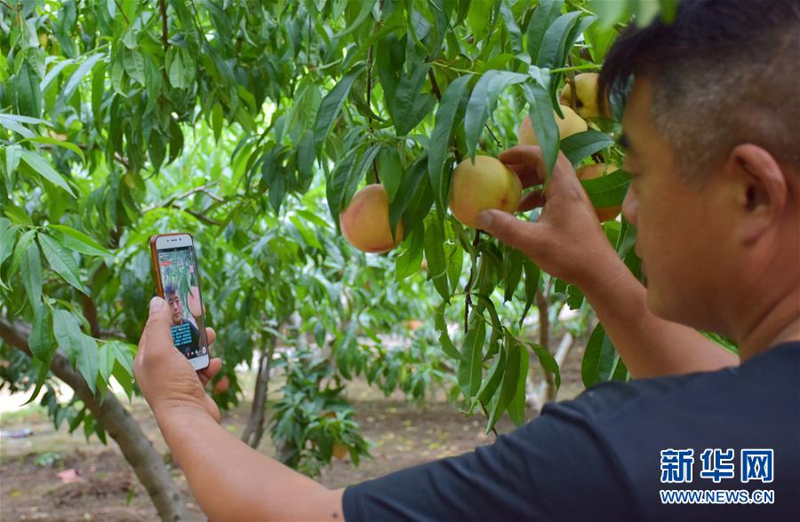 （在习近平新时代中国特色社会主义思想指引下&mdash;&mdash;新时代新作为新篇章&middot;总书记关切脱贫事&middot;决胜贫困&middot;图文互动）（6）让一方水土&ldquo;富养&rdquo;一方人&mdash;&mdash;扶贫特色产业惠及千家万户