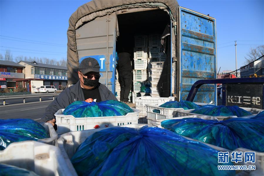 (在习近平新时代中国特色社会主义思想指引下——新时代新作为新篇章·习近平总书记关切事·图文互动)(3)抗疫之下 保供无忧