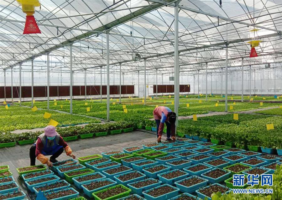 (在习近平新时代中国特色社会主义思想指引下——新时代新作为新篇章·习近平总书记关切事·图文互动)(5)抗疫之下 保供无忧