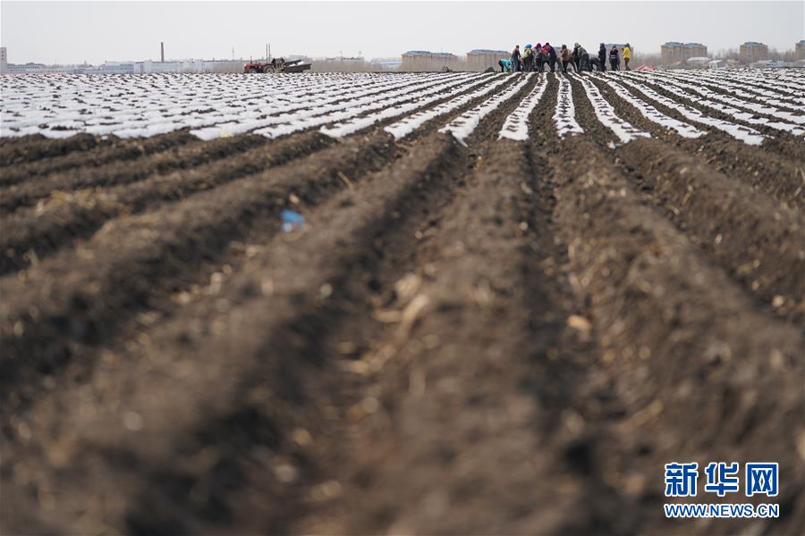 (在习近平新时代中国特色社会主义思想指引下——新时代新作为新篇章·习近平总书记关切事·图文互动)(3)让每一寸耕地都成为丰收的沃土——我国加强耕地保护推进“藏粮于地”