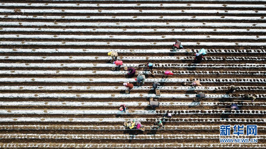 (在习近平新时代中国特色社会主义思想指引下——新时代新作为新篇章·习近平总书记关切事·图文互动)(2)让每一寸耕地都成为丰收的沃土——我国加强耕地保护推进“藏粮于地”
