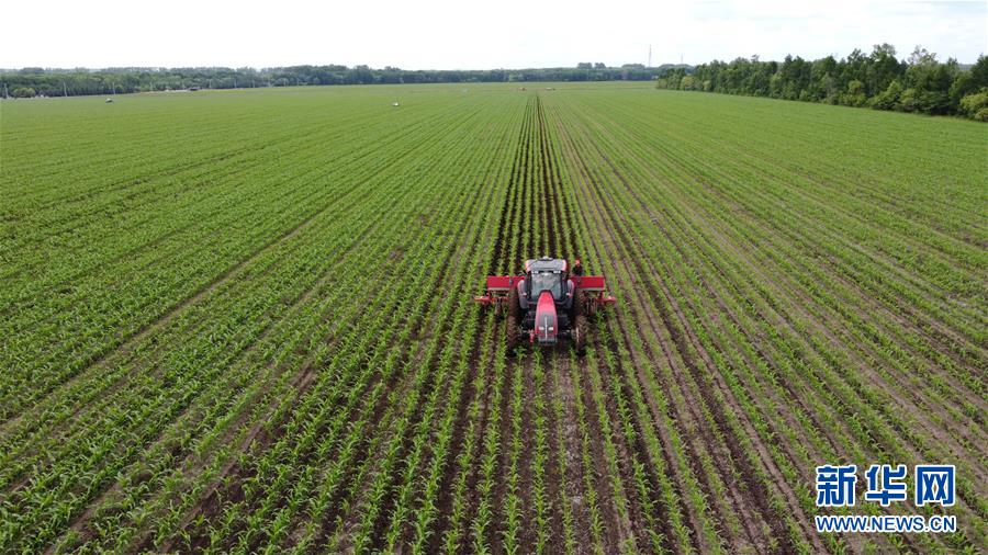 (在习近平新时代中国特色社会主义思想指引下——新时代新作为新篇章·习近平总书记关切事·图文互动)(5)让每一寸耕地都成为丰收的沃土——我国加强耕地保护推进“藏粮于地”
