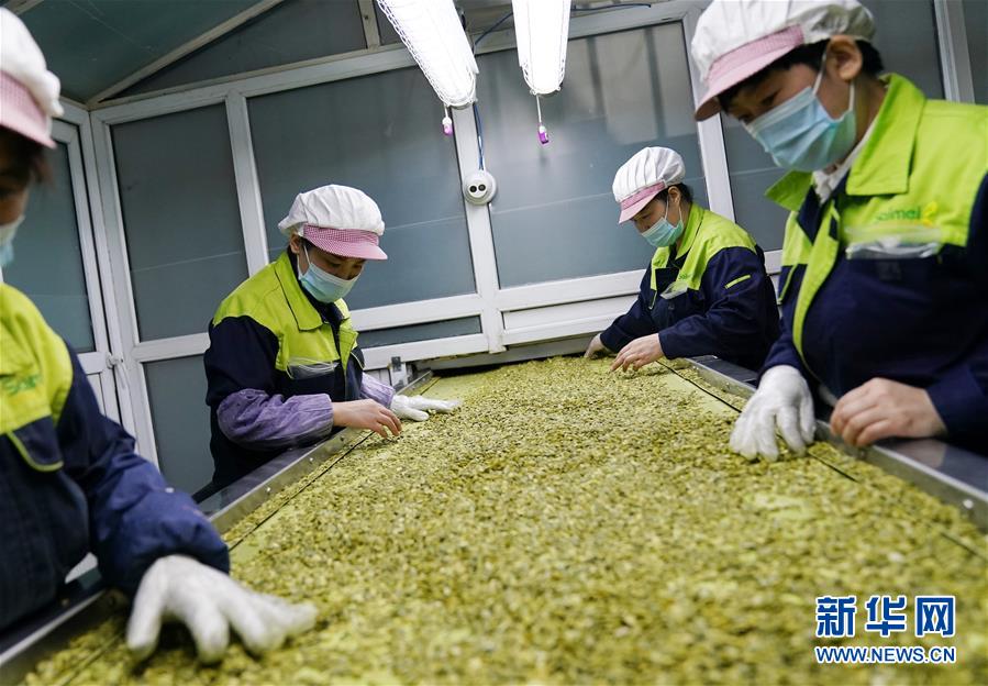 (在习近平新时代中国特色社会主义思想指引下——新时代新作为新篇章·习近平总书记关切事·图文互动)(5)激发每个经济“细胞”的活力——千方百计把市场主体保护好