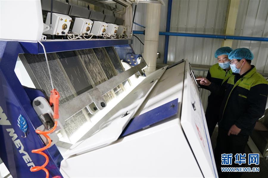 (在习近平新时代中国特色社会主义思想指引下——新时代新作为新篇章·习近平总书记关切事·图文互动)(6)激发每个经济“细胞”的活力——千方百计把市场主体保护好