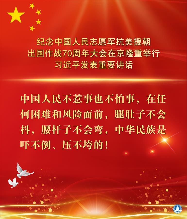 （图表&middot;海报）［时政］纪念中国人民志愿军抗美援朝出国作战70周年大会在京隆重举行  习近平发表重要讲话（11）