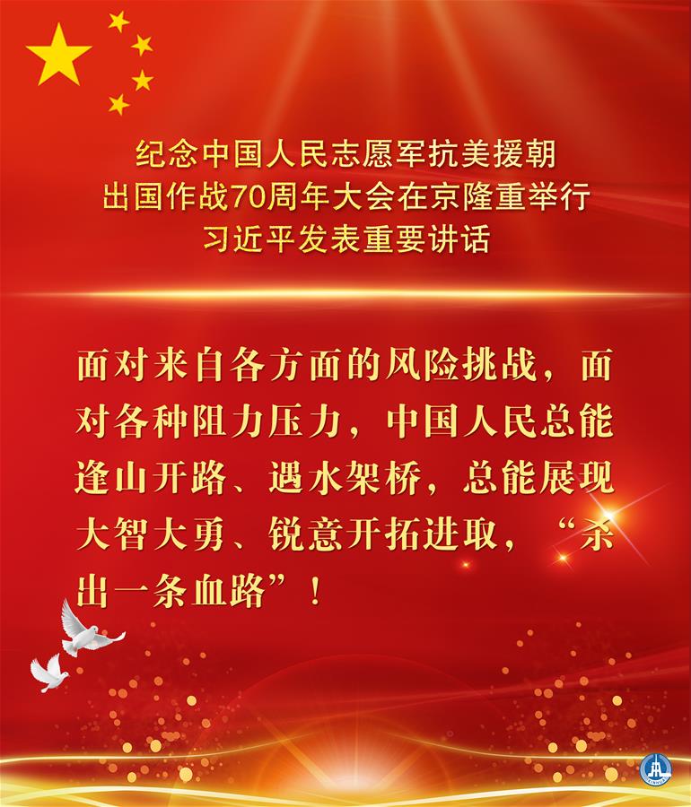 （图表&middot;海报）［时政］纪念中国人民志愿军抗美援朝出国作战70周年大会在京隆重举行  习近平发表重要讲话（12）