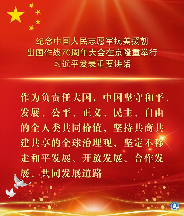 （图表&middot;海报）［时政］纪念中国人民志愿军抗美援朝出国作战70周年大会在京隆重举行  习近平发表重要讲话（15）