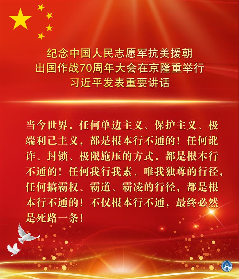 （图表&middot;海报）［时政］纪念中国人民志愿军抗美援朝出国作战70周年大会在京隆重举行  习近平发表重要讲话（16）