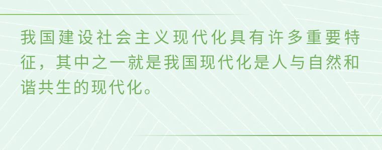 镜观·领航丨人与自然和谐共生——总书记引领绿色发展