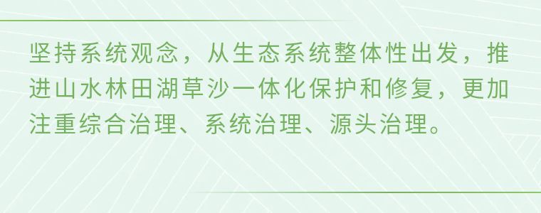 镜观·领航丨人与自然和谐共生——总书记引领绿色发展