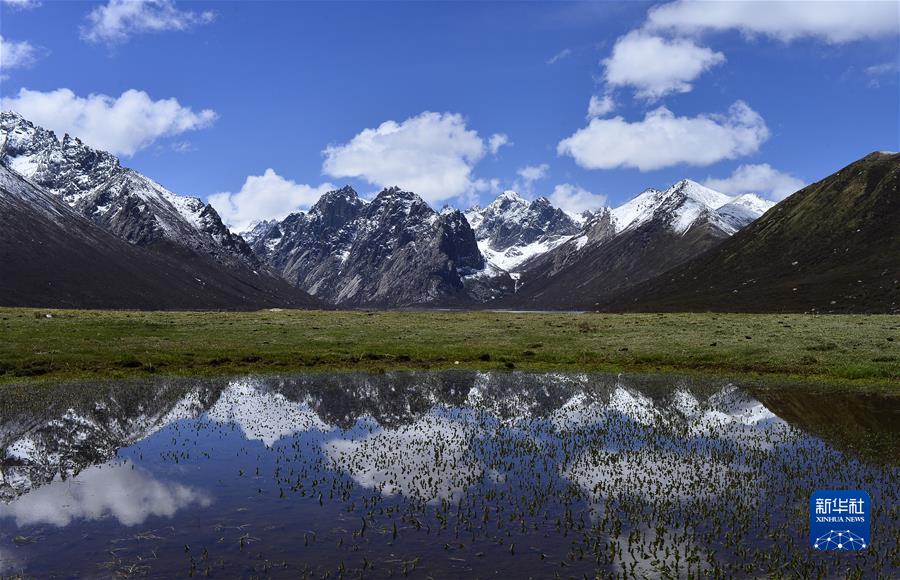 （新华全媒头条&middot;聚焦生物多样性大会&middot;图文互动）（7）携手同行，开启人类高质量发展新征程&mdash;&mdash;习近平主席在《生物多样性公约》第十五次缔约方大会领导人峰会上的主旨讲话解读