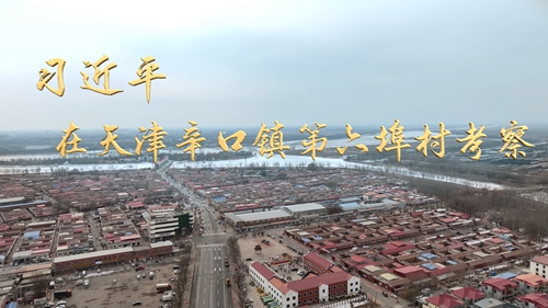 第1视点丨习近平在天津辛口镇第六埠村考察