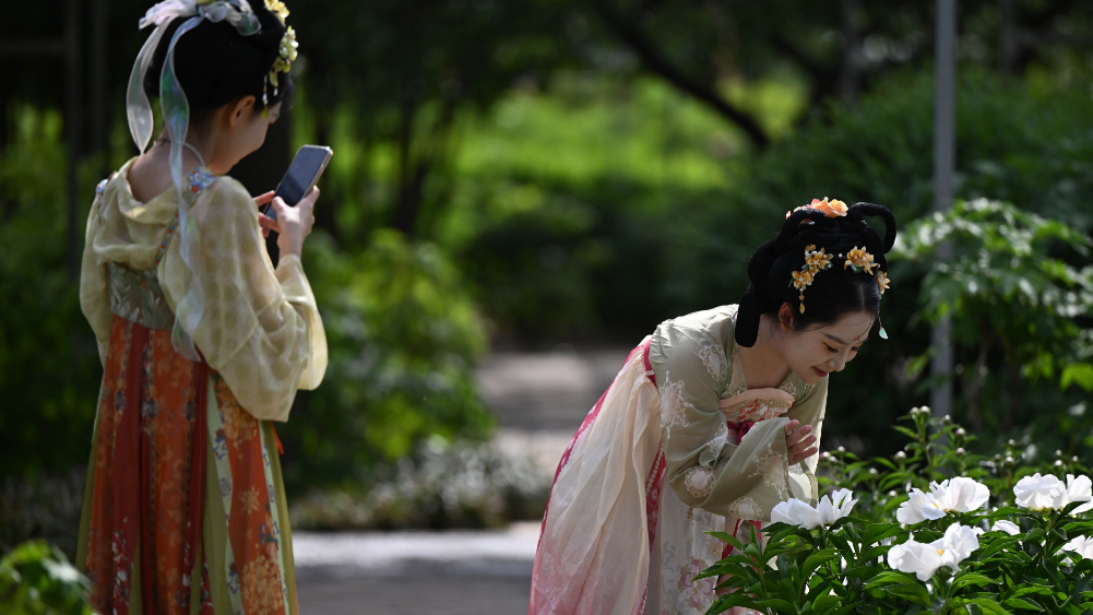 古都洛阳引八方游客