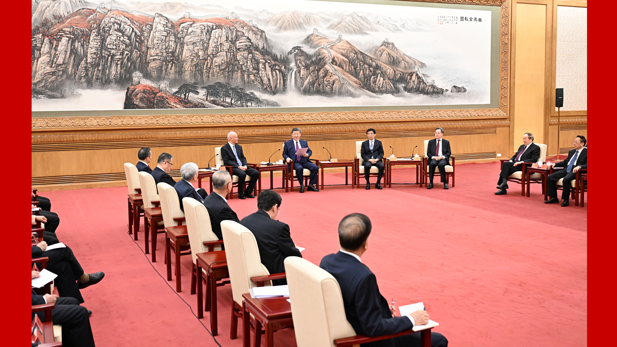 习近平同党外人士共迎新春