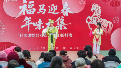 两会看落实丨以文化人，以文惠民，以文兴业