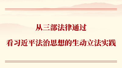 从三部法律通过看习近平法治思想的生动立法实践