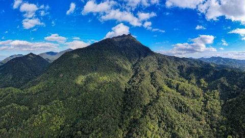 以林为笔的生态答卷