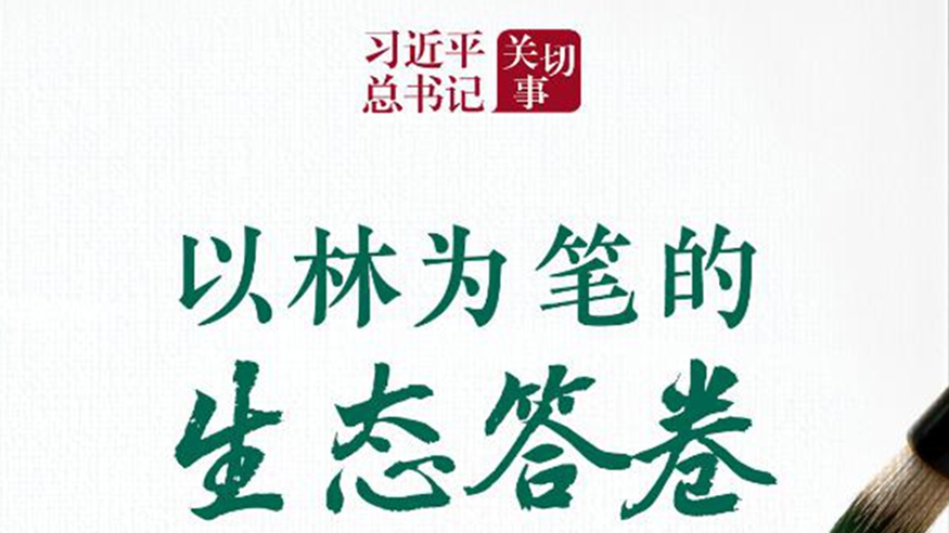 以林为笔的生态答卷