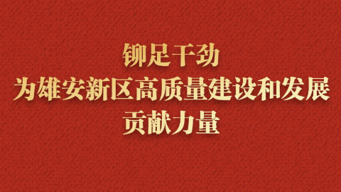 铆足干劲，为雄安新区高质量建设和发展贡献力量