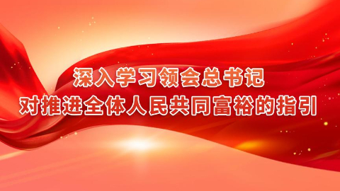 深入学习领会总书记对推进全体人民共同富裕的指引