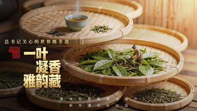 一叶凝香雅韵藏