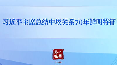 习近平主席总结中埃关系70年鲜明特征