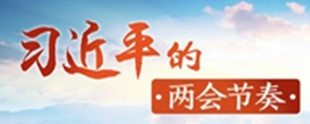 习近平的两会足迹