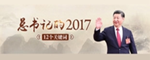 习近平的2017