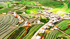 学习快评丨总书记立春日考察带来&ldquo;春消息&rdquo;