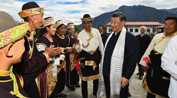 学习快评丨总书记西藏行传递特别信息