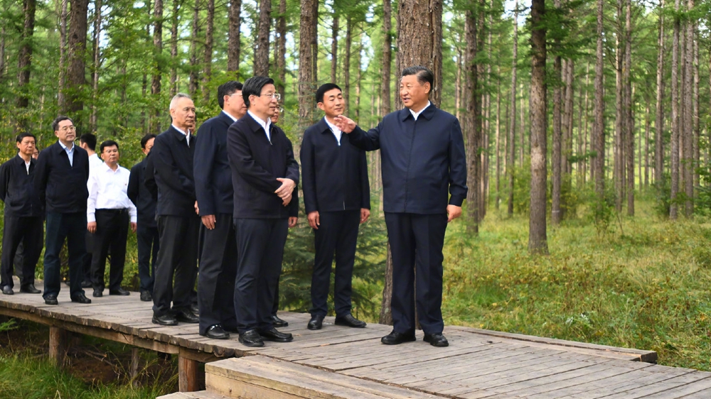 镜观&middot;领航丨习近平牵挂的那片林