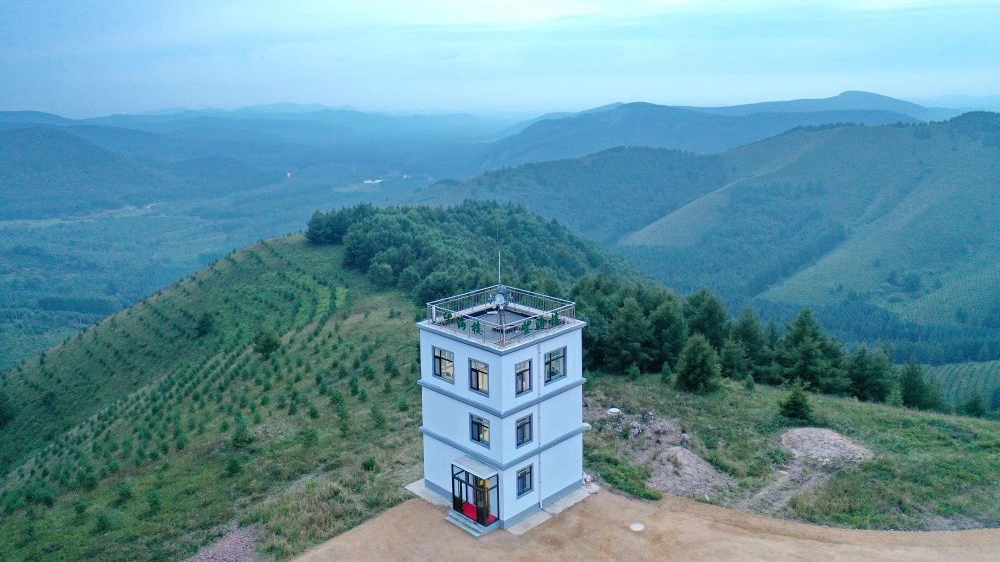 第1视点丨他们，守护美丽中国的底色