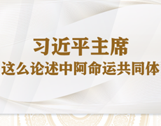 学习进行时丨习近平主席这么论述中阿命运共同体