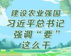 学习进行时｜建设农业强国，习近平总书记强调&ldquo;要&rdquo;这么干